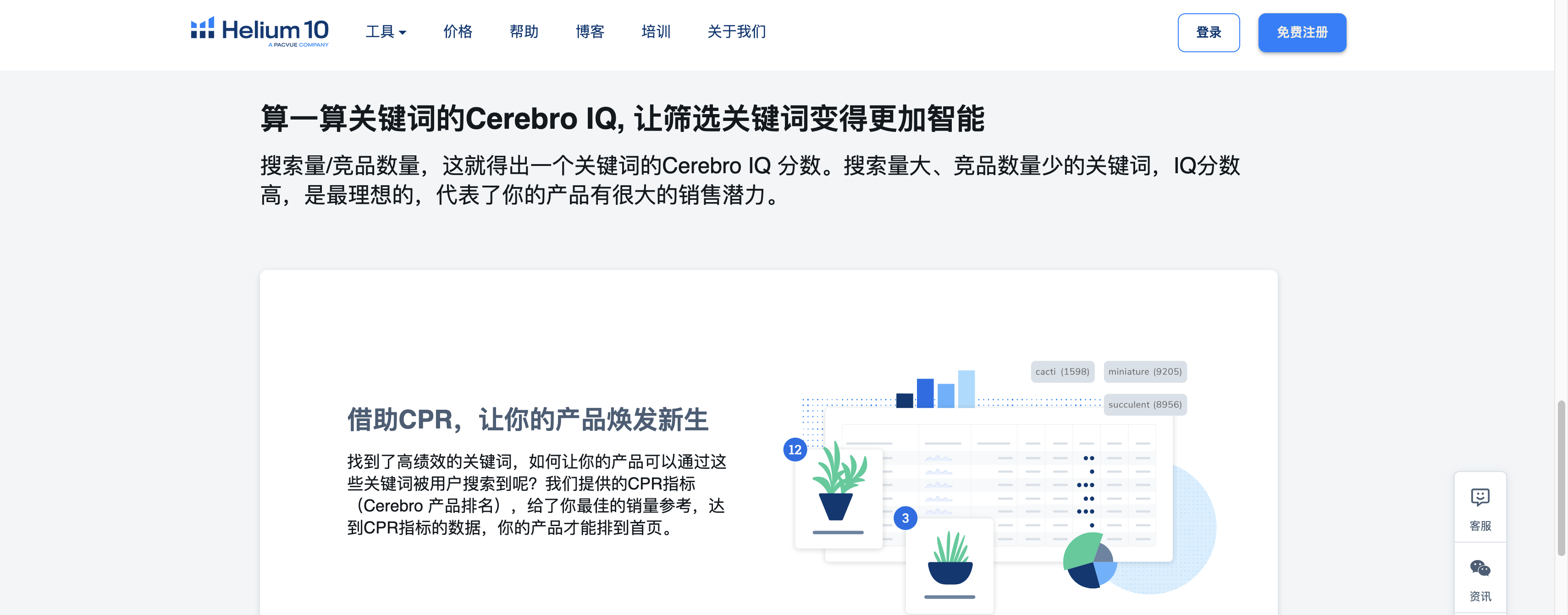 content related visual