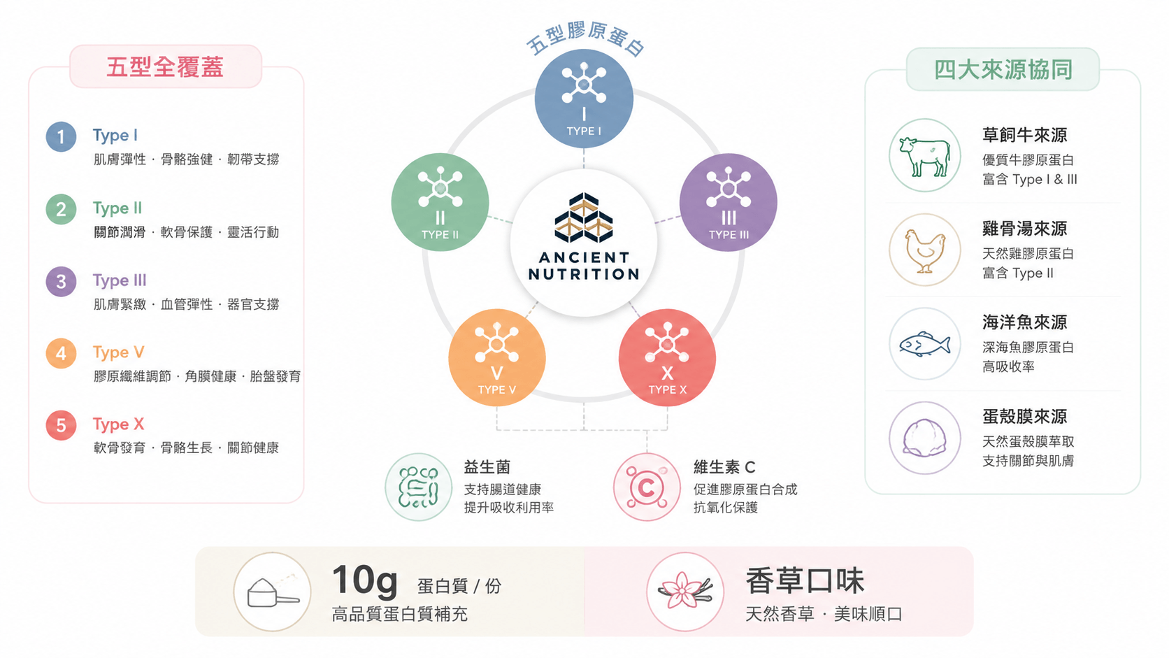 iHerb膠原蛋白比較：Ancient Nutrition五型複合膠原蛋白資訊圖，展示五型膠原、四種來源與益生菌維C輔助。