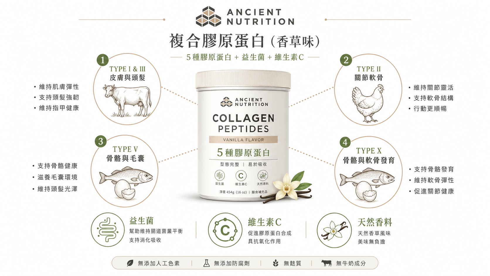 五種膠原蛋白與四種食物來源的信息圖，中央為產品罐，周邊圖標說明複合膠原蛋白的類型、來源、益生菌與維生素C。