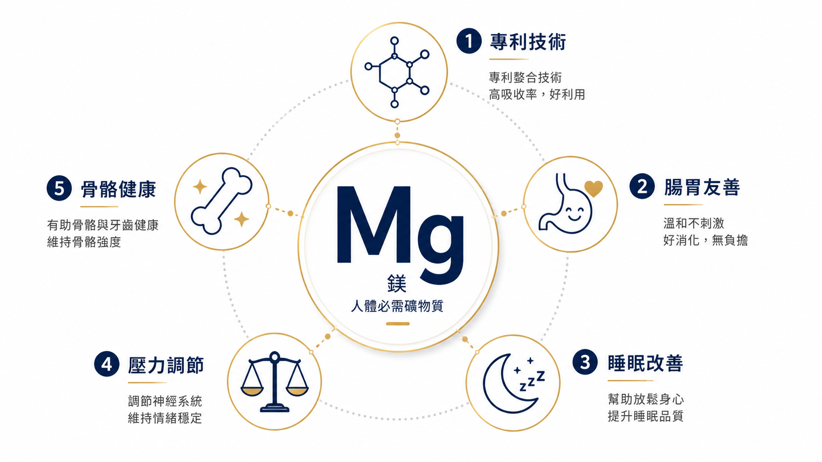 Doctor's Best 高吸收鎂信息圖，展示專利TRAACS螯合技術、腸胃友善、助眠、抗壓及骨骼健康五大功效。