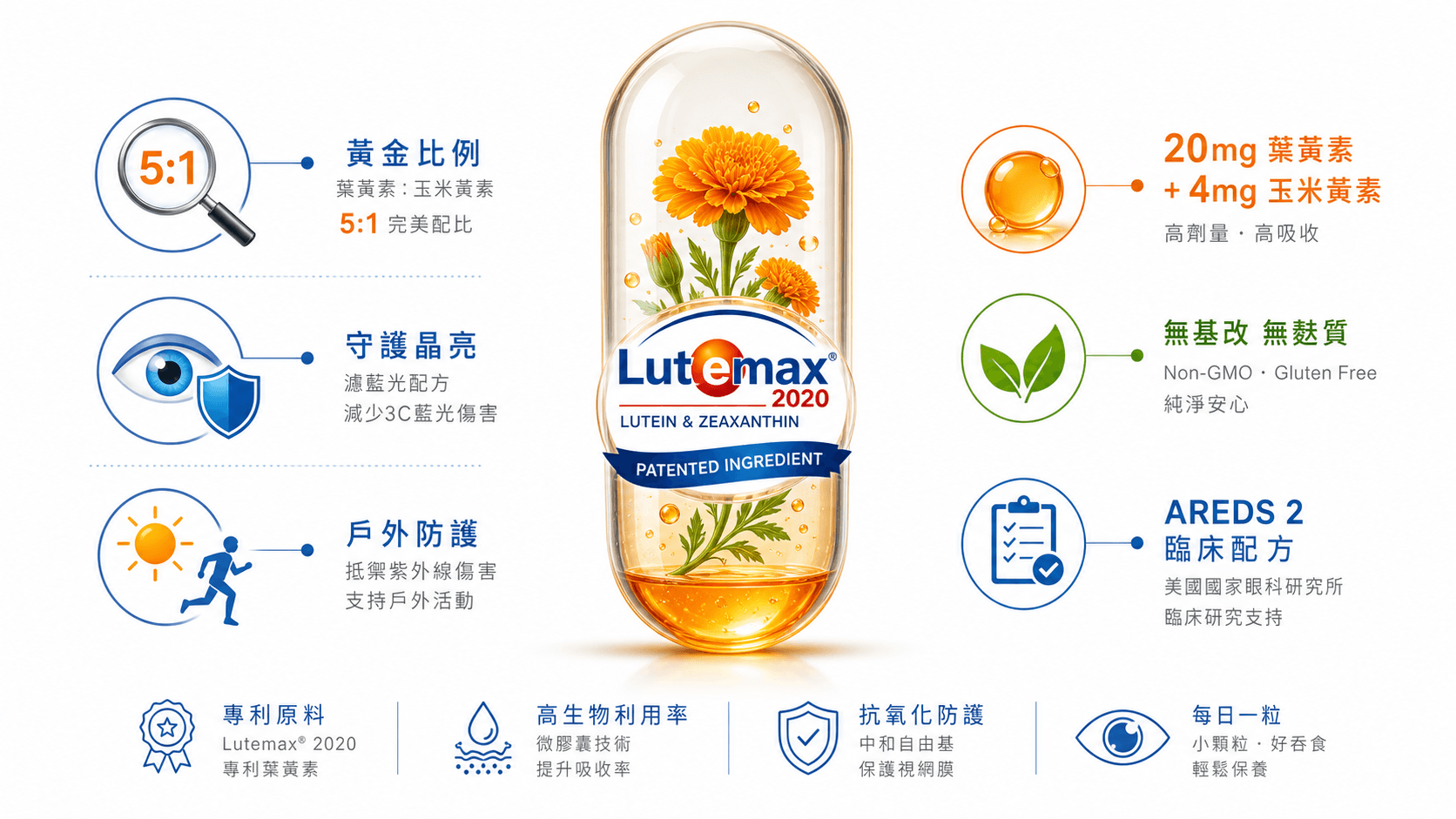 Doctor's Best 葉黃素產品推薦資訊圖,展示專利Lutemax 2020、5:1黃金比例與護眼功效。