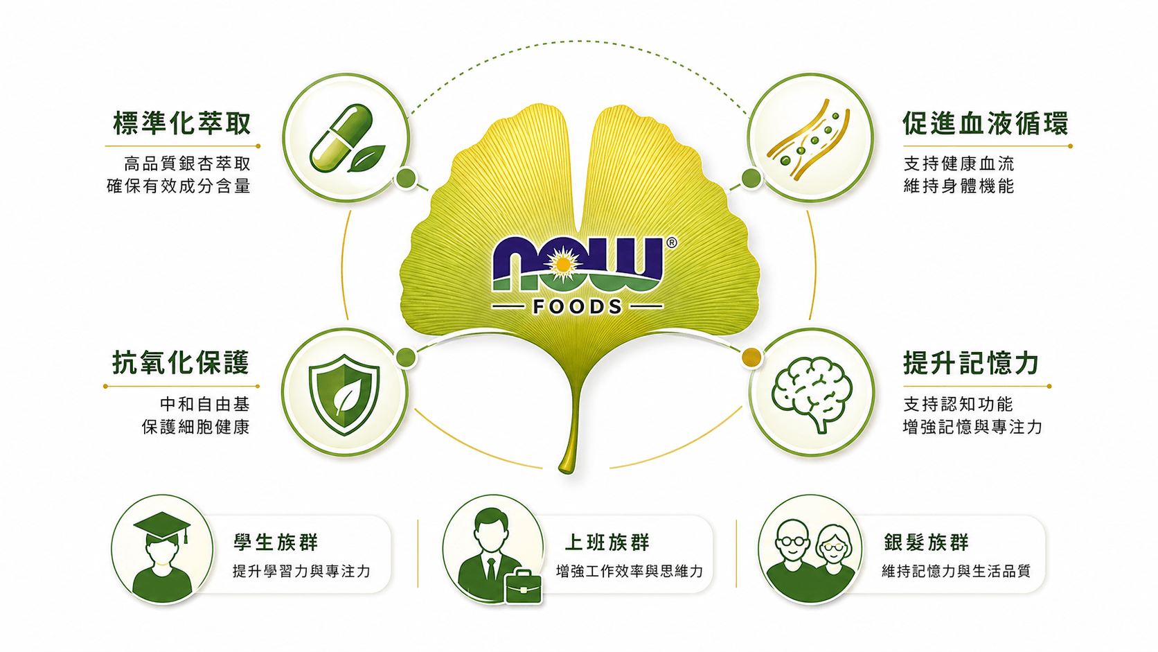 8款最好的iHerb銀杏萃取推薦2026-學生、上班族到銀髮族一吃有感的記憶力救星,每款都經過千人實測好評