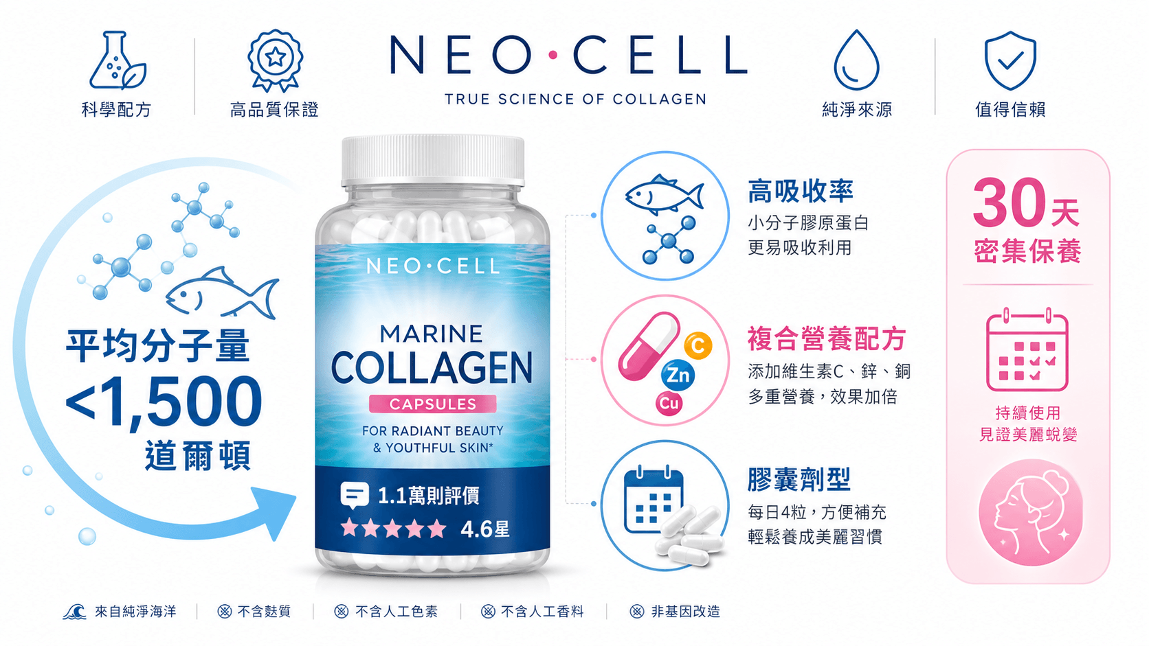 NeoCell 海洋膠原膠囊資訊圖，展示高吸收率、複合美肌營養與優異消費者好評。