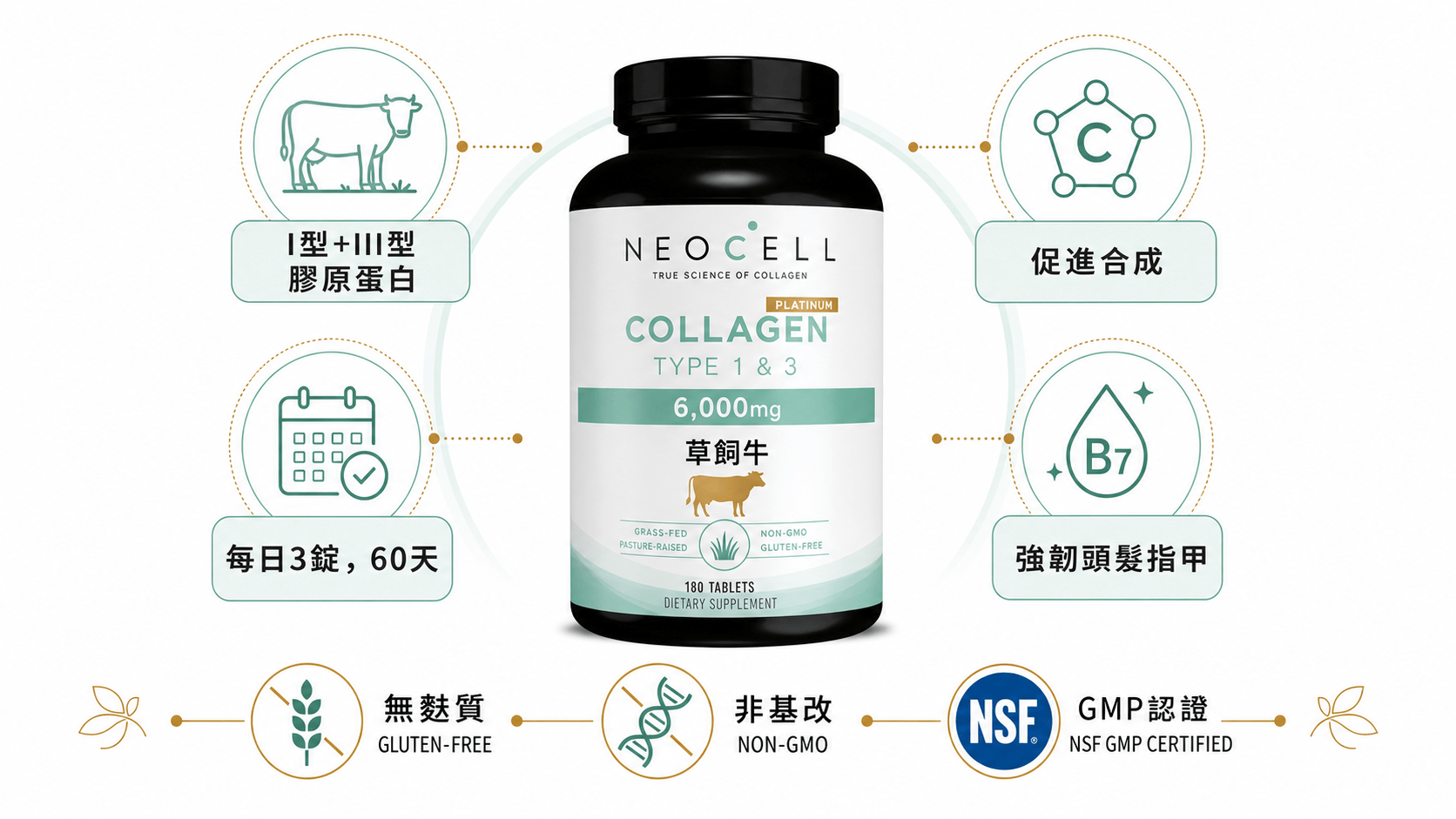 NeoCell 超级胶原蛋白信息图，展示6000毫克水解牛胶原、维生素C、生物维生素及适用人群图标。