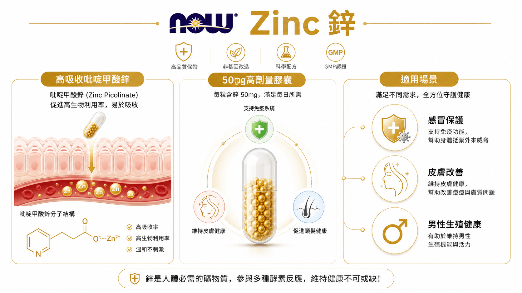 一張NOW Foods鋅補充品信息圖，展示高吸收吡啶甲酸鋅、50mg劑量膠囊與免疫、皮膚、男性健康的適用場景。