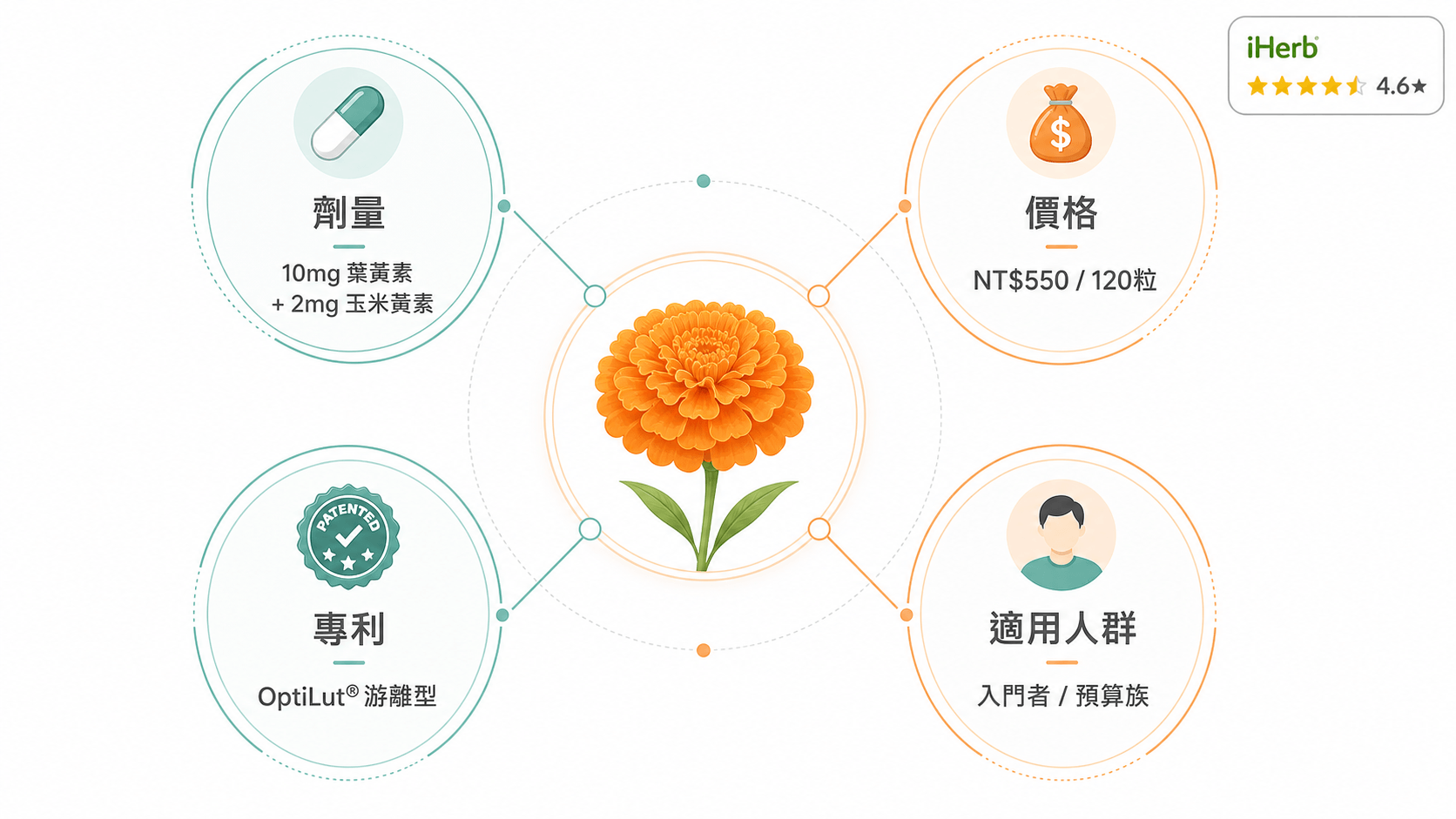 Doctor's Best OptiLut 葉黃素產品推薦資訊圖:展示10mg劑量、親民價格、專利游離型及入門適用場景,幫助消費者直觀選擇。