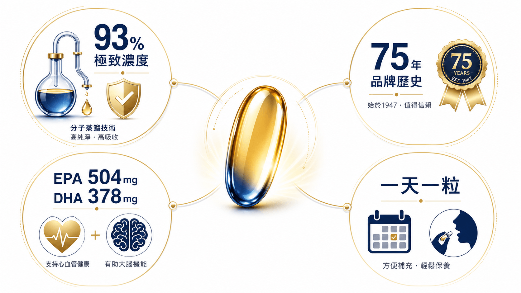 Solgar 魚油資訊圖：93% 超高濃度、EPA/DHA 比例、分子蒸餾與一天一粒設計，適合高效保健與送禮。