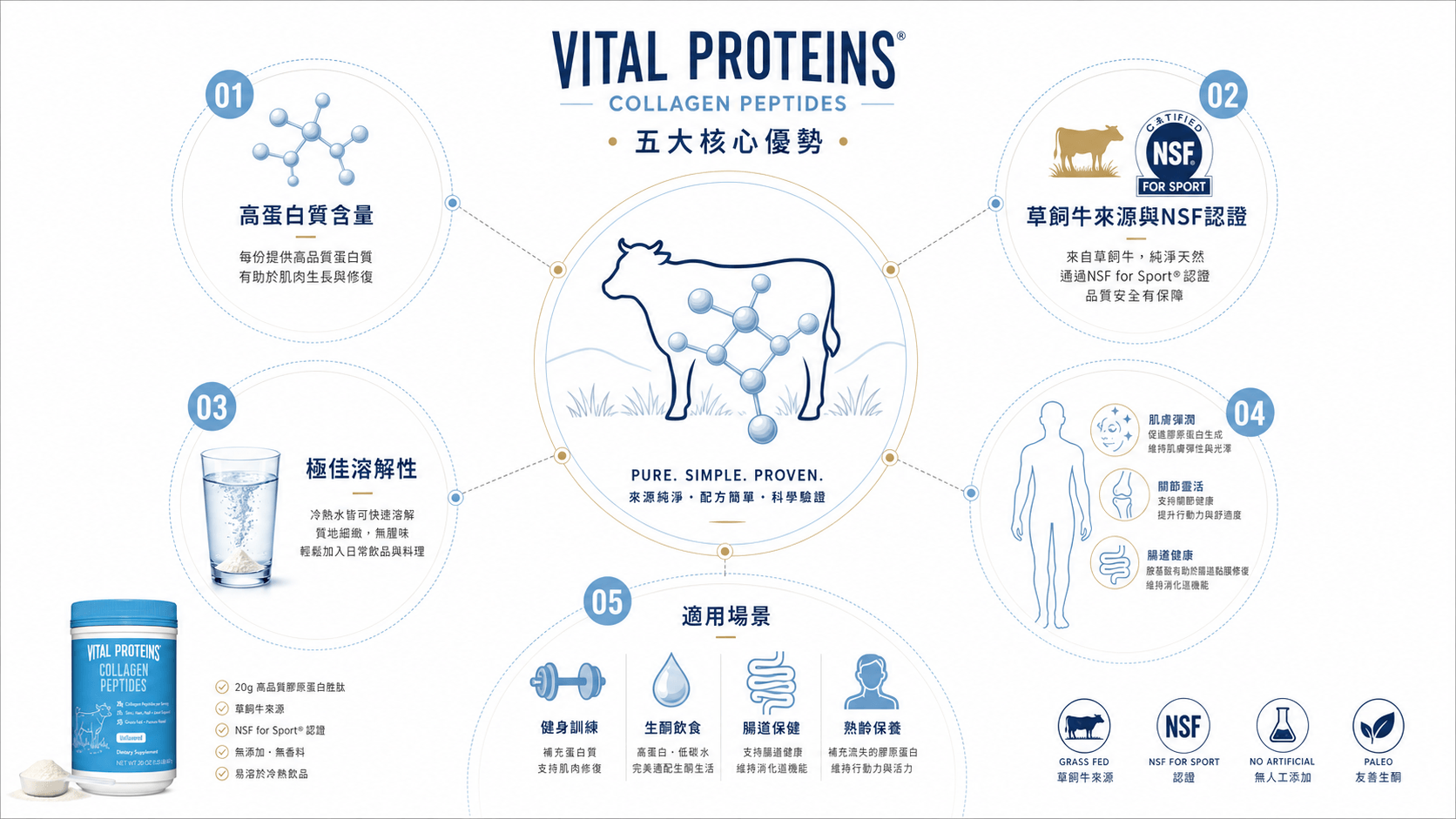 Vital Proteins膠原肽信息圖：展示高蛋白、草飼牛來源、溶解性、三重益處與適用場景。
