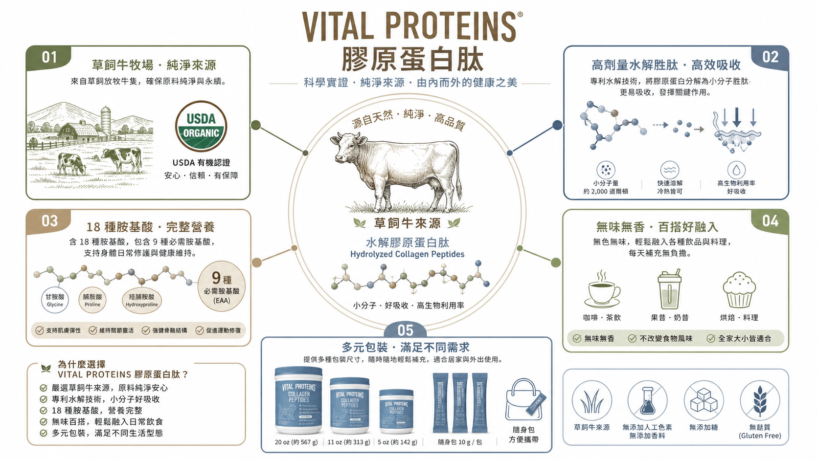 一張關於Vital Proteins膠原蛋白肽的資訊圖，重點介紹草飼牛來源、水解胜肽、18種胺基酸、無味百搭及適用場景，是您膠原蛋白推薦的視覺指南。