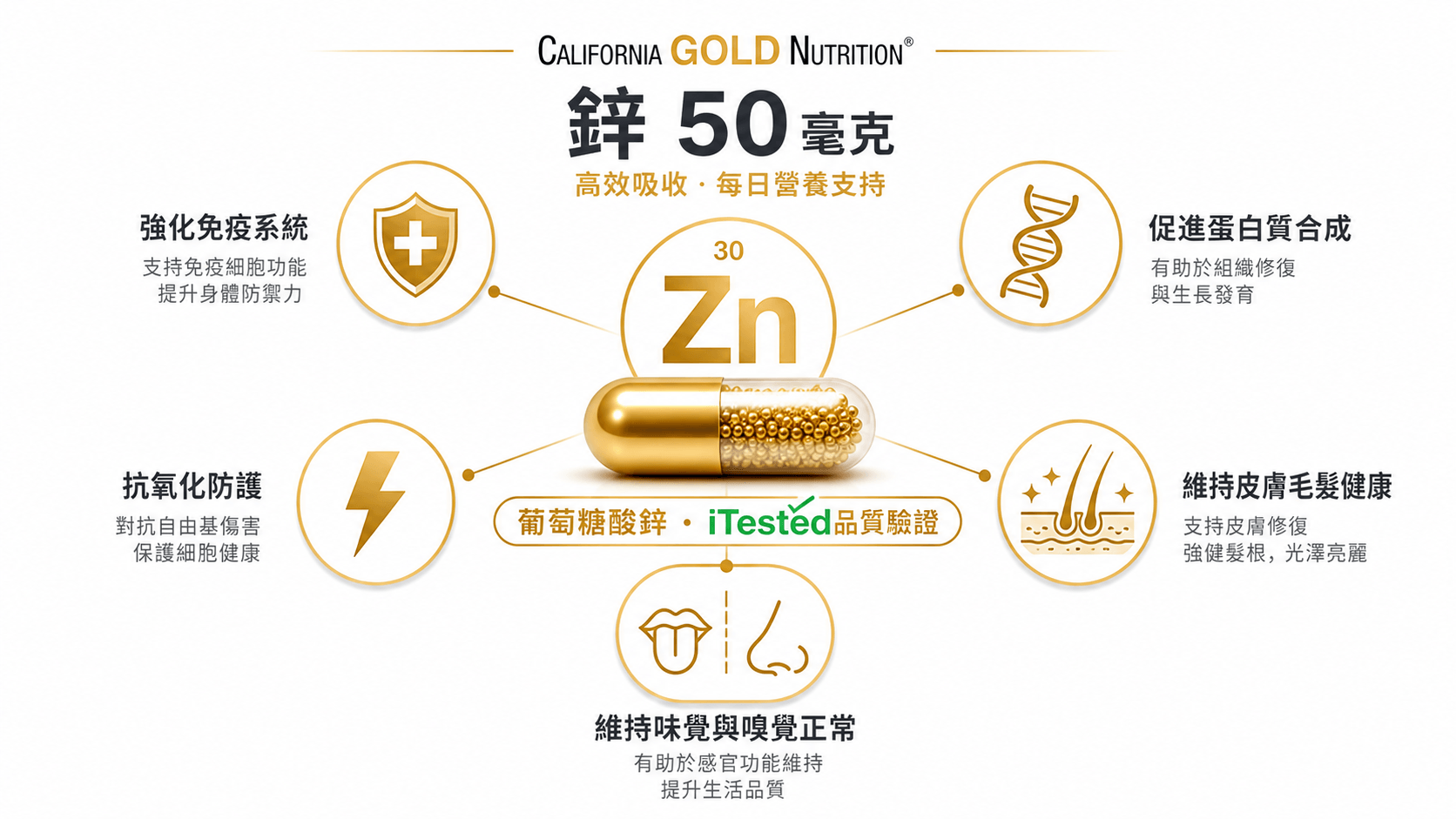 8个最好的鋅補充劑推荐2026-掉髮族與疲勞上班族必收的完整採購指南,人氣品牌實測總整理